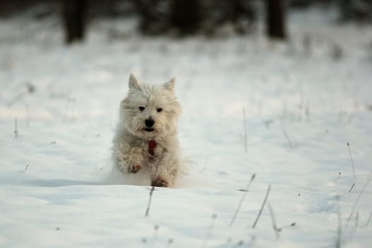 I'm coming........