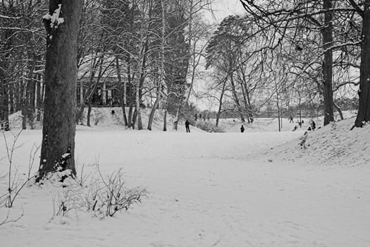 Tobogganing in the park
