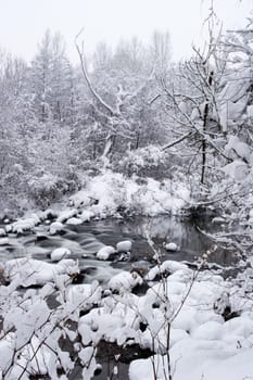 River in winter