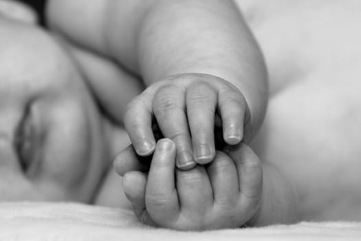 Hands of Innocence
