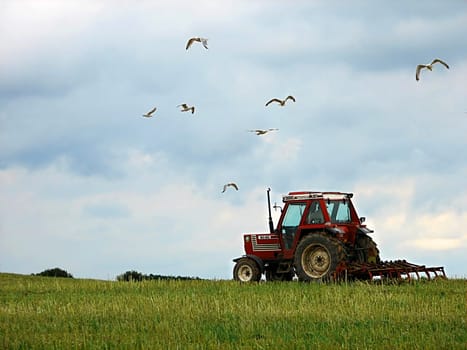 In March,the farmer harnesses the Rösslein. He repairs his fields and meadows. He plows the soil,he eggets and sows  and stirs his hands early in the morning and late. (Revised thanks to photo workshop)
