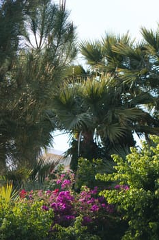Cyprus - Present and Past