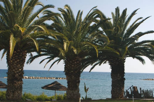 Cyprus - Present and Past