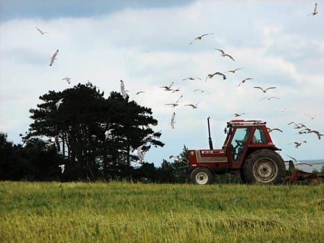 This is how spring passes under work. Then the farmer harvests the fragrant hay. He mows the grain,then threshes it out. In winter there are many wonderful feasts