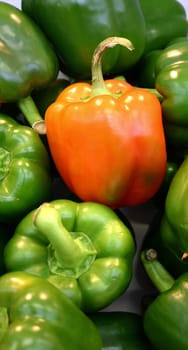 Paprika