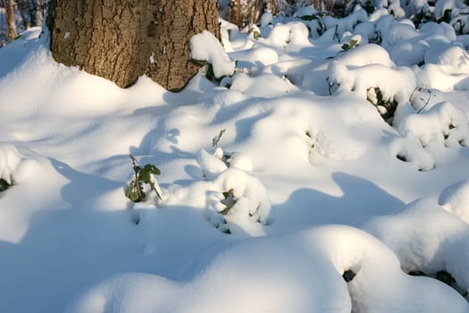 Snow cover