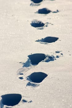Tracks in the snow