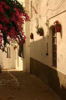 A greeting... from Andalusia