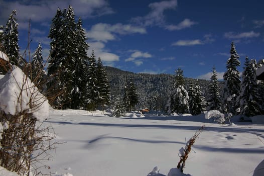 Leutasch Tirol