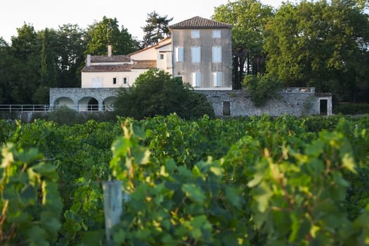 Winery on the Ardèche