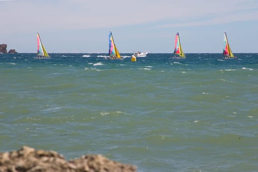 Windsurfers