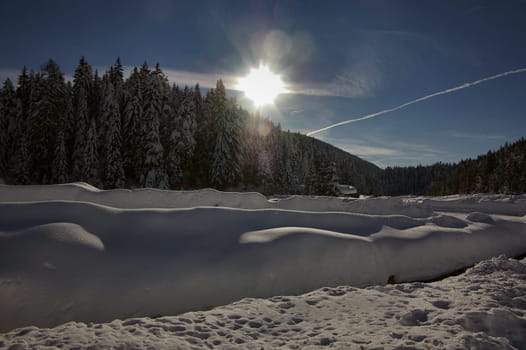 Winter sun