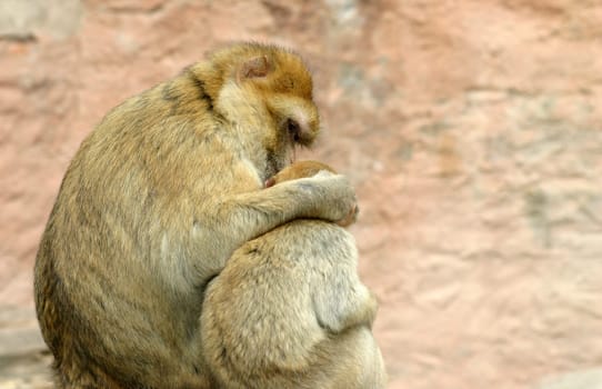 Doting love