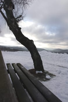 Winter Bench