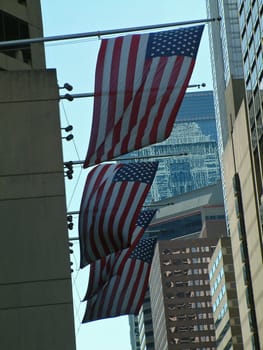 Flags
