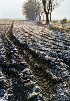 Winter arable land