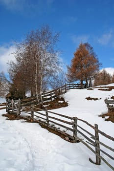 Winter hike