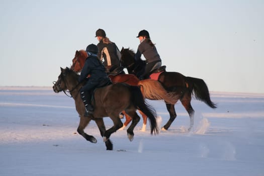 ... lies on the back of the horses