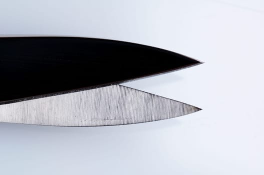 Cut