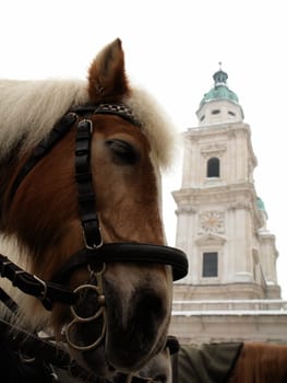 ... in front of the cathedral in Salzburg