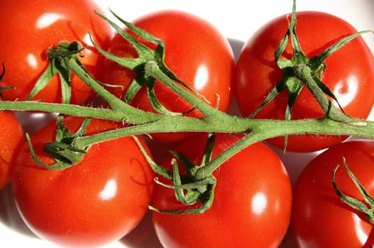 Tomato panicle II
