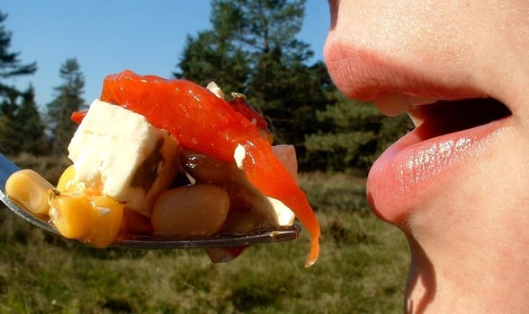 Picnic
