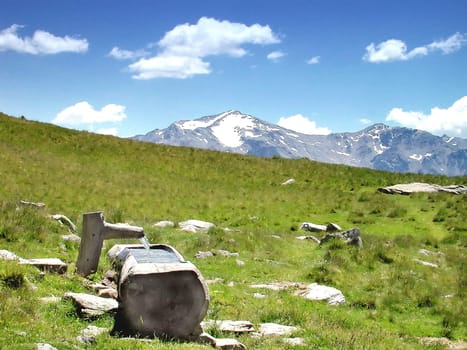 Alpine pasture
