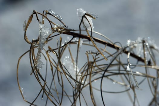 Ice glitter