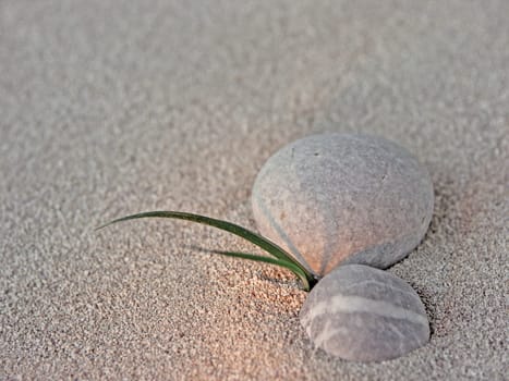Zen