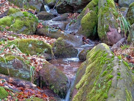 Stream