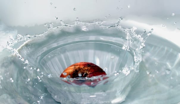 Water Fruit Bowl