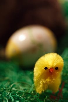 Hatched in time