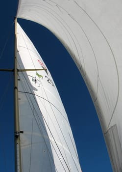 The rig is the rigging of a sailing ship,consisting of spars (masts,trees,gaffs),standing rigging (shrouds,stays) and running rigging (sheets,traps).