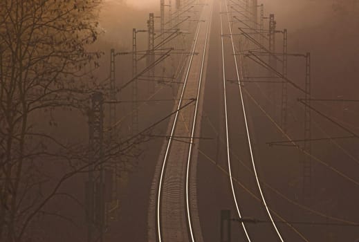 Fog
