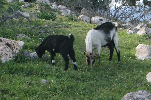 Cyprus - Present and Past
