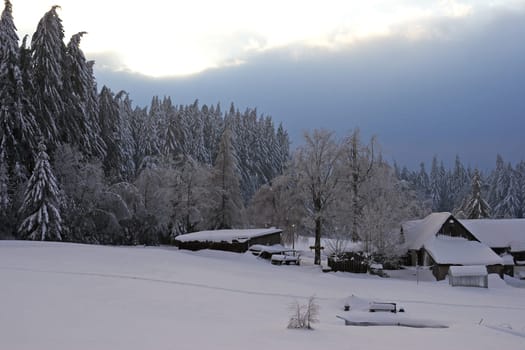 snowbound