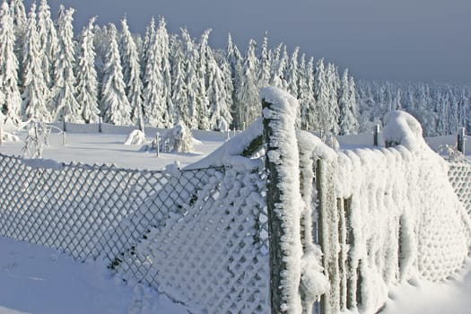 fenced