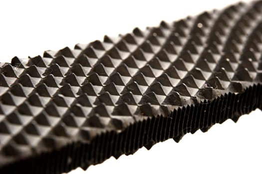 Rasp Detail 1
