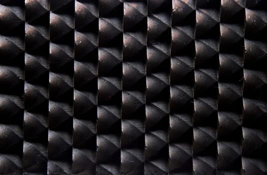 Rasp Detail 2