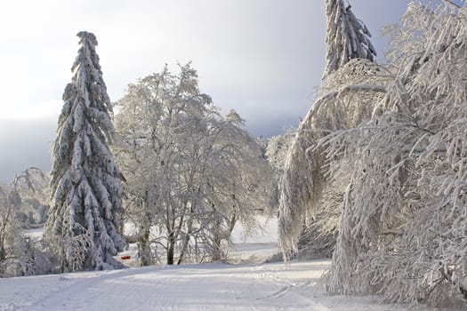 Snow load