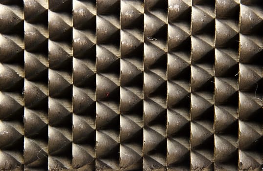 Rasp Detail 3