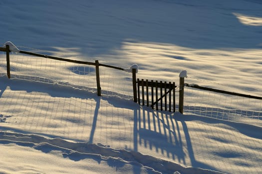 Long shadows