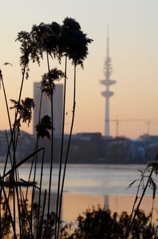 Television tower