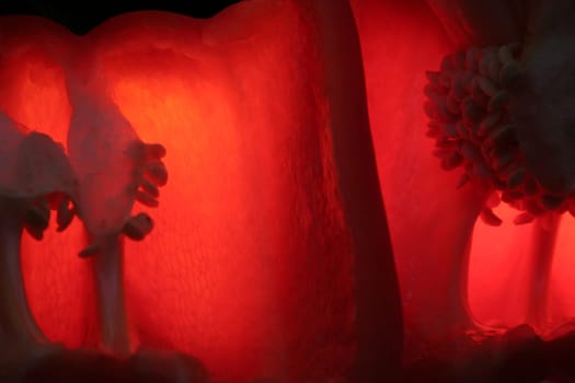 the view from the inside is focused on the intense color of red peppers