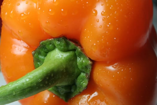 Paprika close
