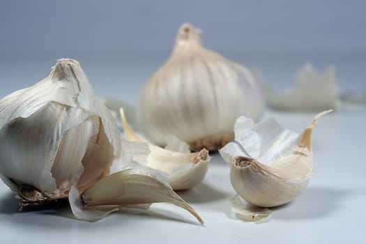 Garlic