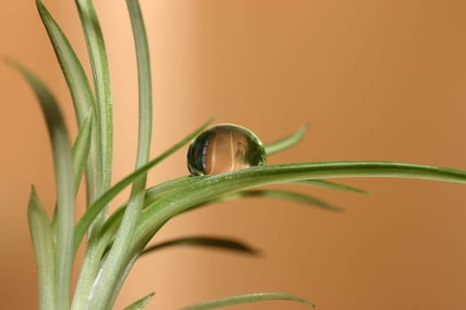 A small drop that makes a big difference