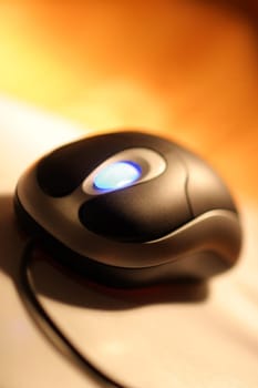 Mouse in action