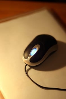 Computer Mouse