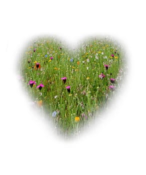 Flowerheart